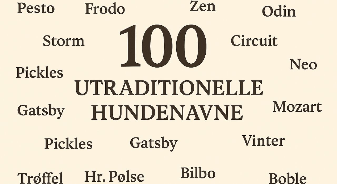 utraditionelle hundenavne
