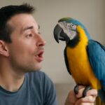 Hvordan lærer du en papegøje at tale? – Nem guide til begyndere